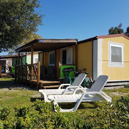 Naturist Mobile Homes Eden In Fkk Ulika بوريتش المظهر الخارجي الصورة