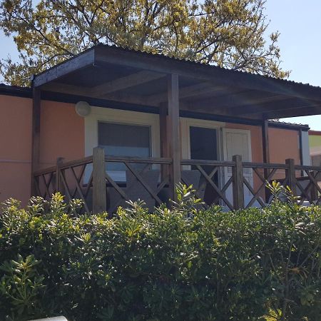 Naturist Mobile Homes Eden In Fkk Ulika بوريتش المظهر الخارجي الصورة
