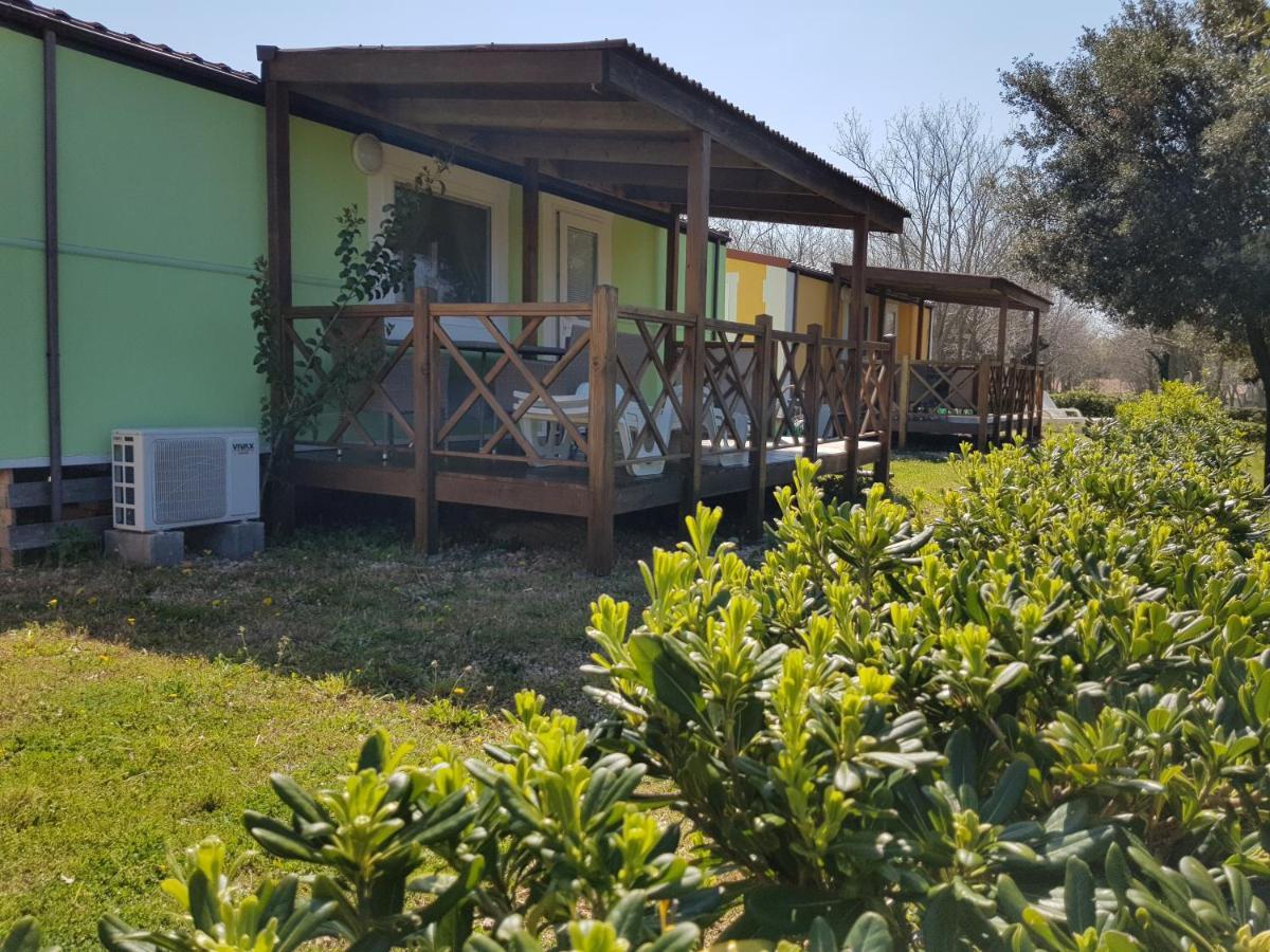 Naturist Mobile Homes Eden In Fkk Ulika بوريتش المظهر الخارجي الصورة